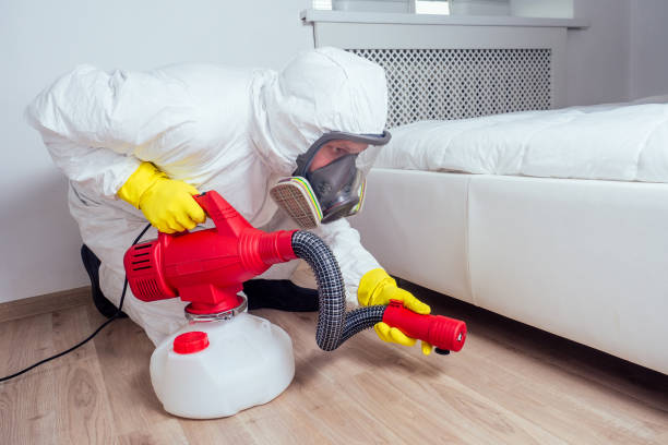 Best Bed Bug Extermination  in Delevan, NY